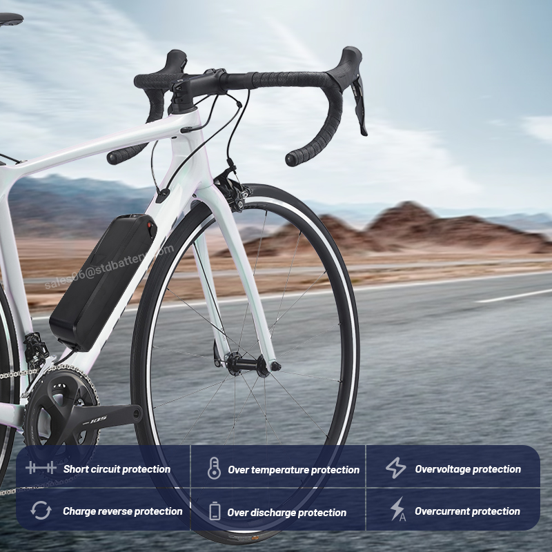 ALX Hailong ebike battery 36v  - đánh giá và giá Ebike Battery 48V 20Ah Hailong