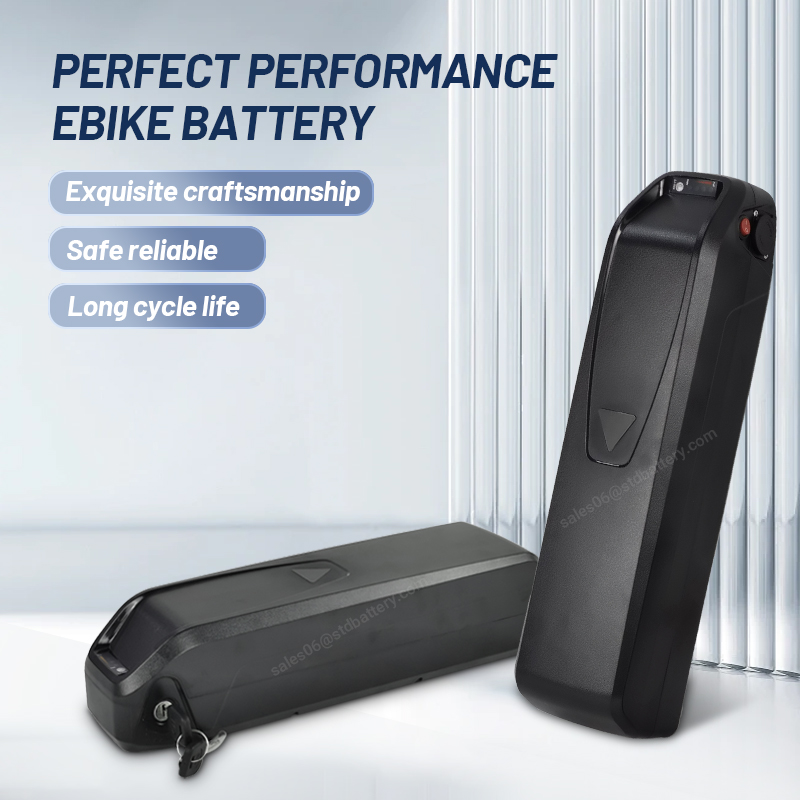 ALX Hailong ebike battery 36v  - đánh giá và giá Ebike Battery 48V 20Ah Hailong